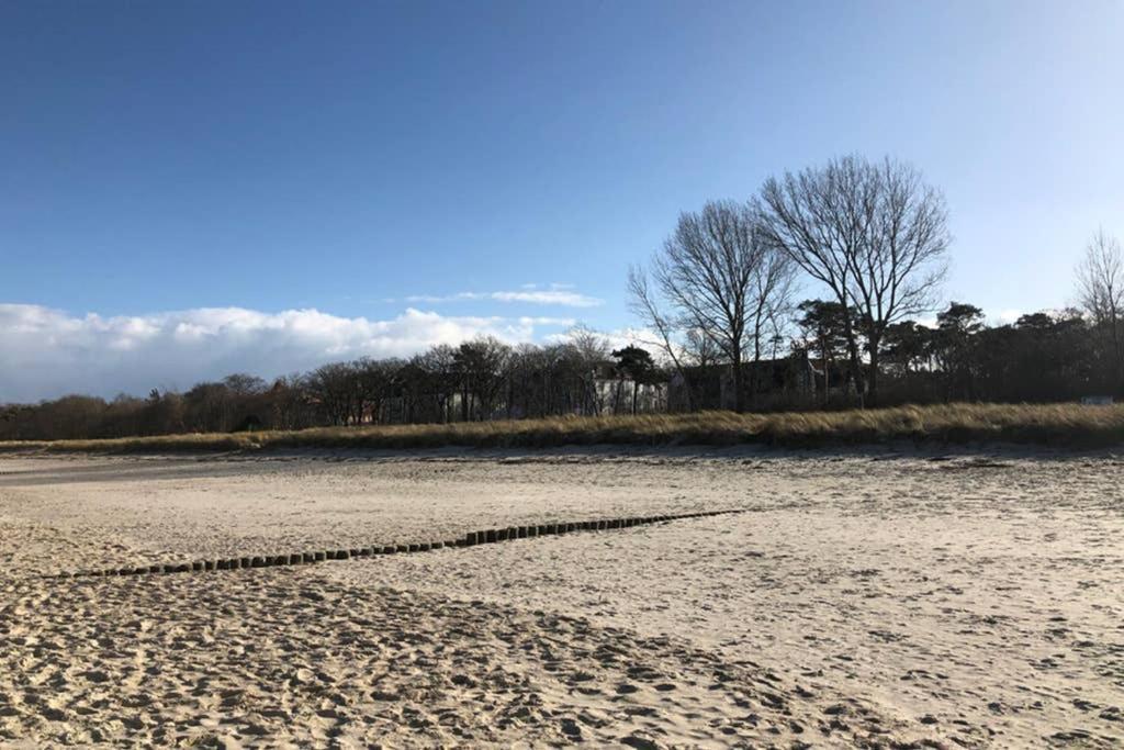 Sonnenresidenz Kuehlungsbornアパートメント エクステリア 写真